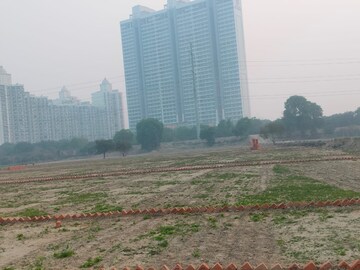 Plot Area in  Plot at Sector 142 – for Sale