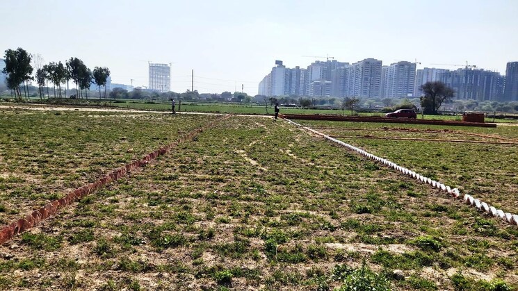 undefined, sector 142  150 Sq.Yd. Plot In Sector 142 Noida 9129299