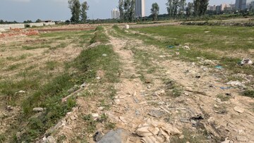 Plot Area in  Plot at Sector 142 – for Sale