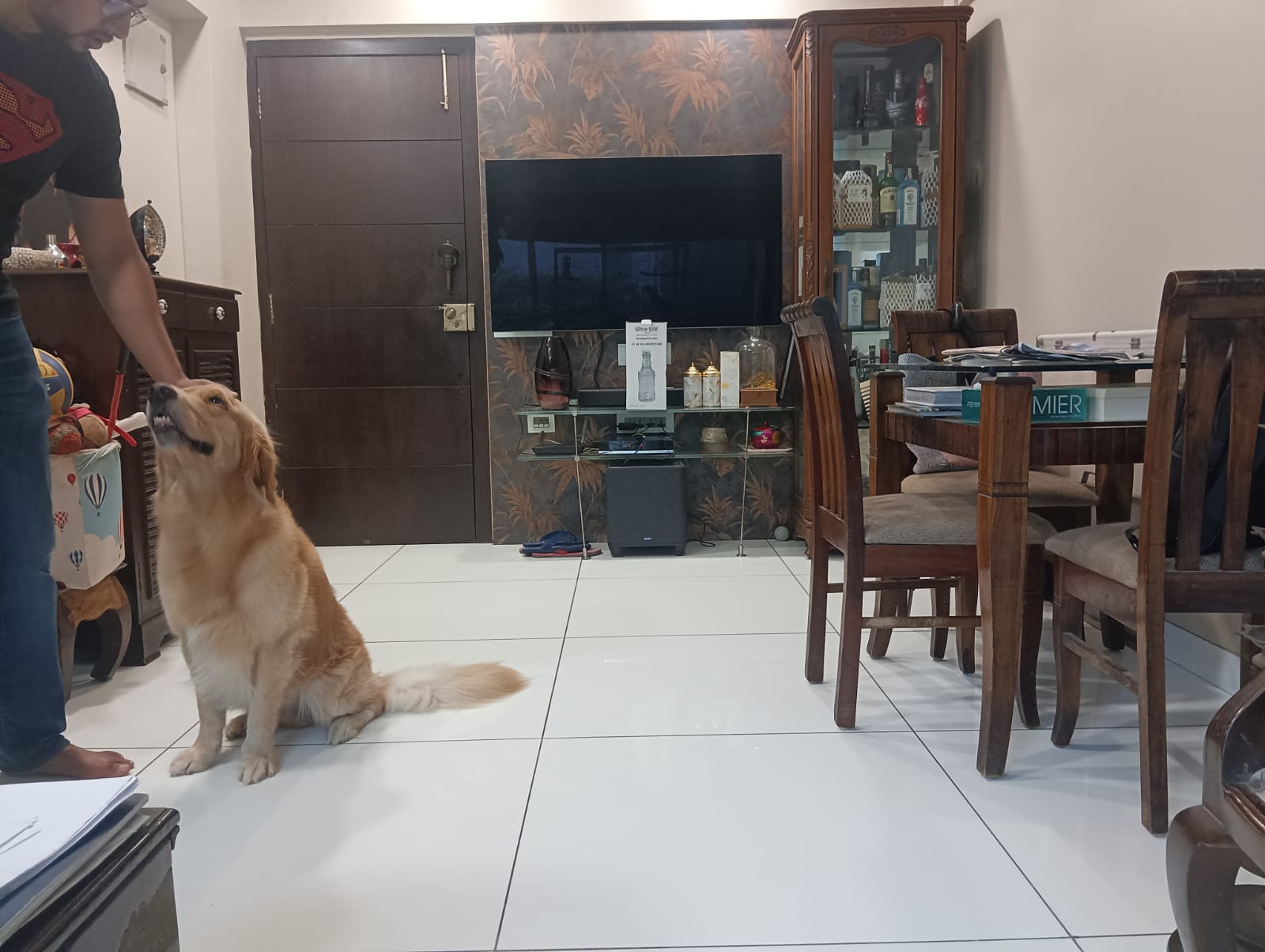 1 BHK Apartment For Rent in Shivaji Park