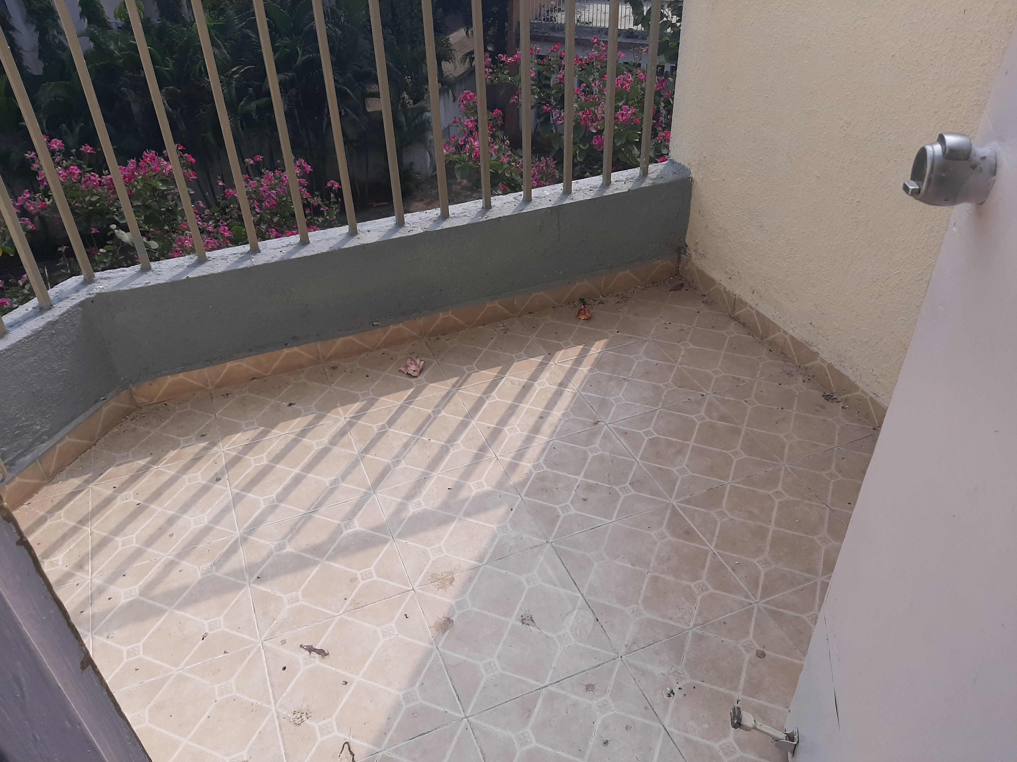 2 BHK + Servant Room Apartment For Rent in Pate Balark Arcadia