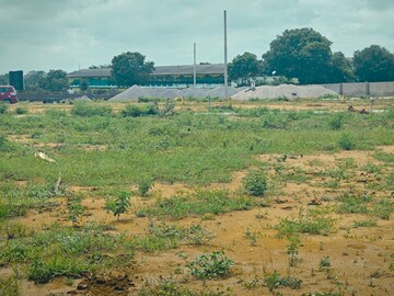 Plot Area in  Plot at Kadthal – for Sale