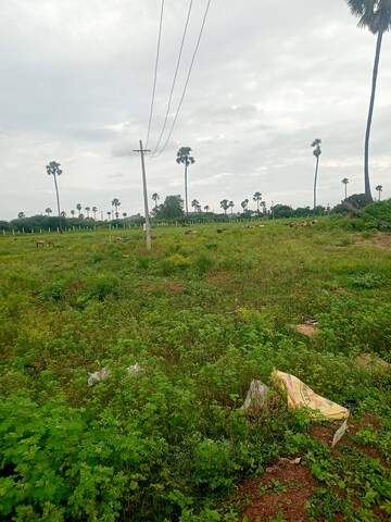  Plot For Sale in Taramatipet