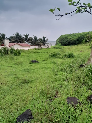  Plot For Sale in Shrivardhan