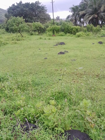 Plot Area in  Plot at Shrivardhan – for Sale