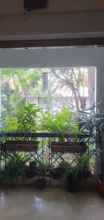 Balcony in 2 BHK Builder Floor at Richards Town – for Sale