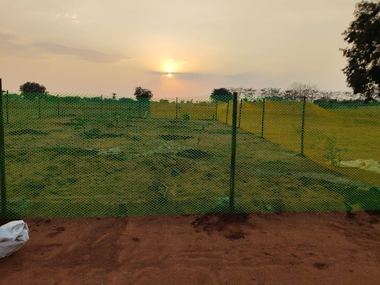 undefined, shadnagar  242 Sq.Yd. Plot In Shadnagar Hyderabad 9130036