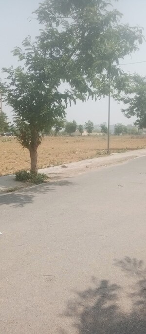 Plot Area in  Plot at Sector 19 – for Sale