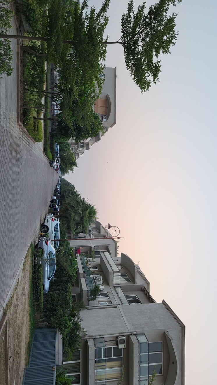 Exterior View, bptp-amstoria 3 Bedroom 250 Sq.Yd. Builder Floor In Sector 102 Gurgaon 9130215