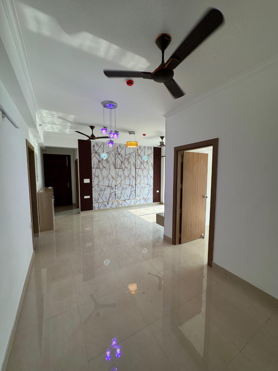 2 BHK Apartment For Rent in Elegant Ville