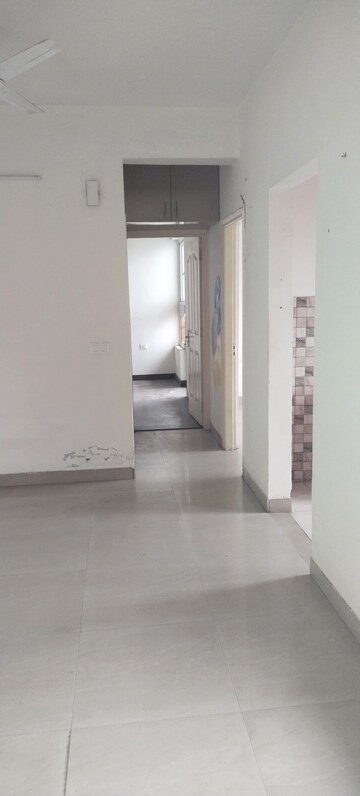 3 BHK Apartment For Rent in AC Tower, Sector 84