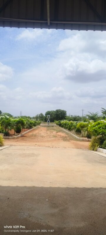  Plot – Exterior View View at JB Nature Valley, Choutuppal - for Sale
