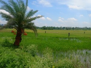  Plot – Exterior View View at New Town - for Sale