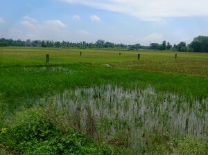 Plot Area in  Plot at New Town – for Sale