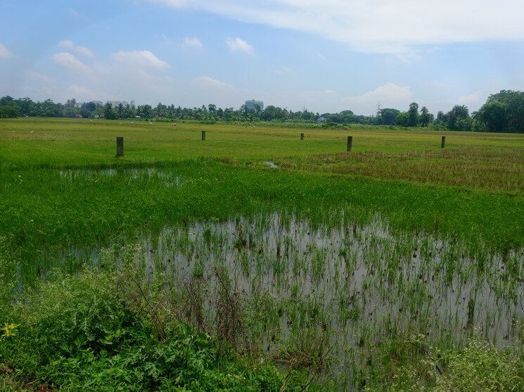 undefined, new town  1 Acre Plot In New Town Kolkata 9130675