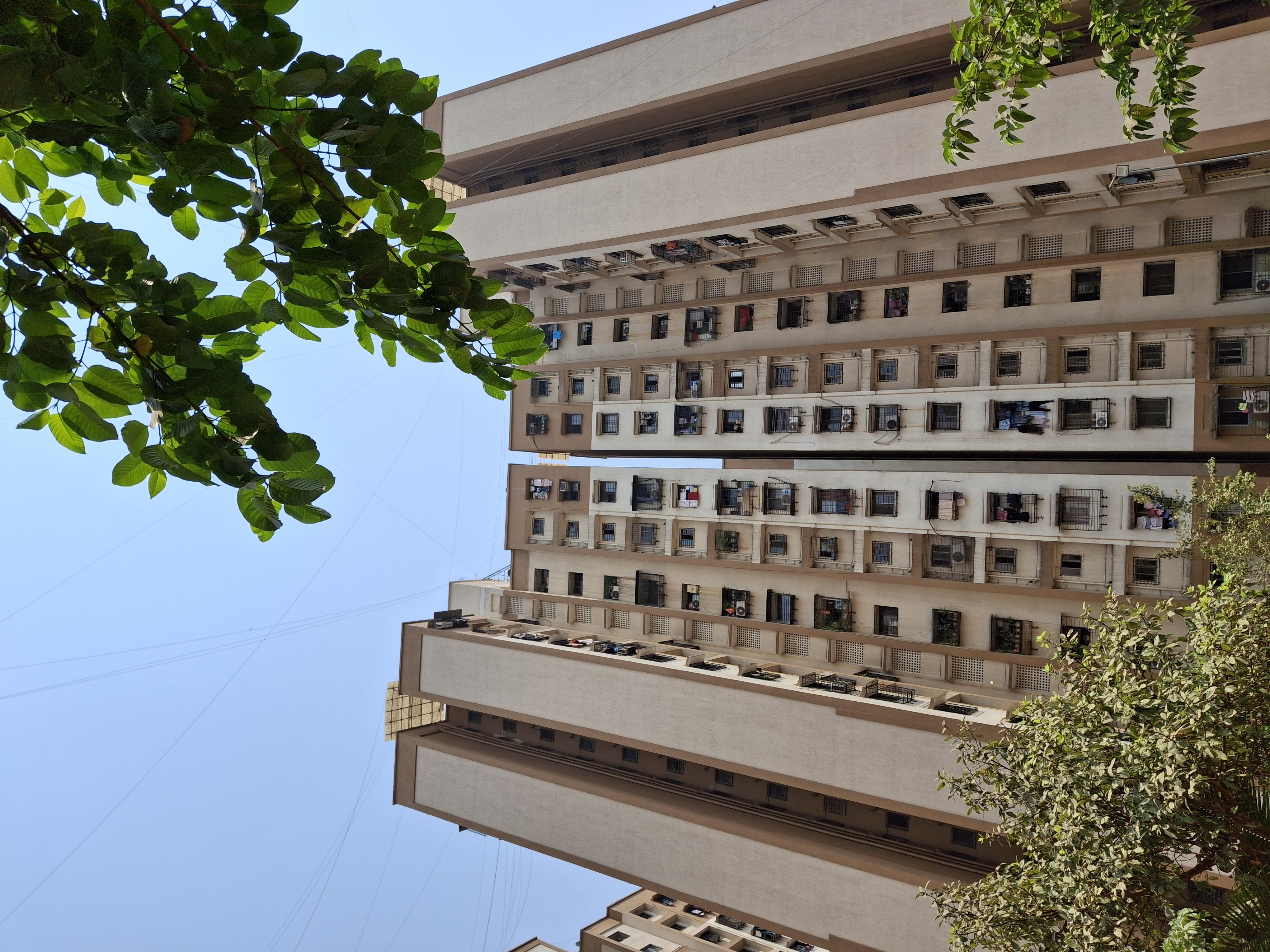 1 BHK Apartment For Rent in Megh Malhar Co-op Housing Society