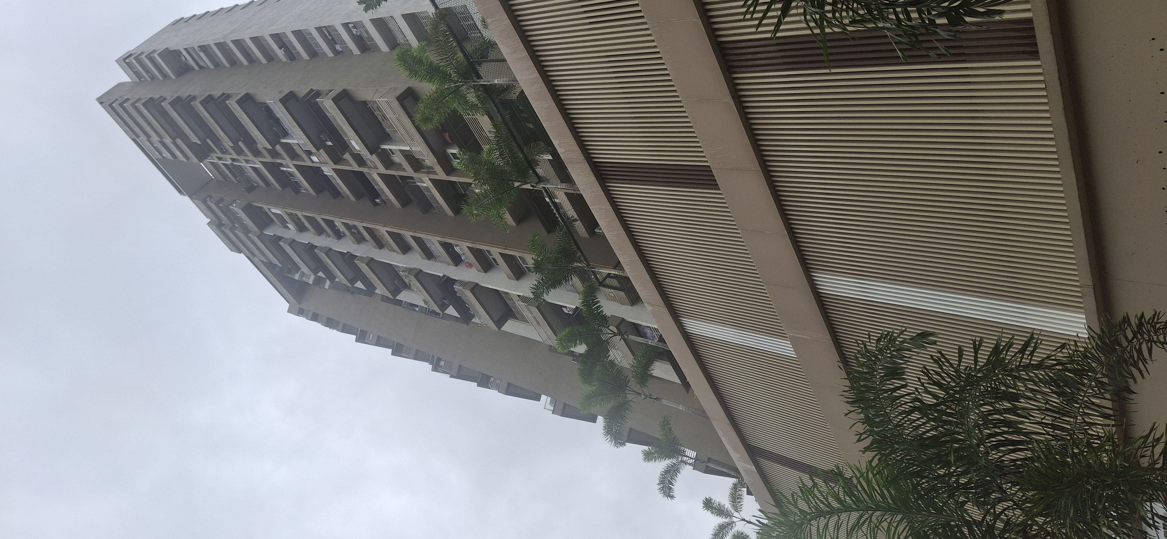 2 BHK Apartment For Rent in Alliance One