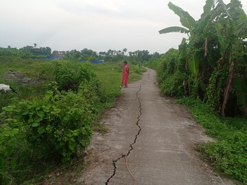 Plot Area in  Plot at AmtalA-Baruipur Road – for Sale
