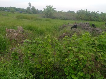 Plot Area in  Plot at AmtalA-Baruipur Road – for Sale