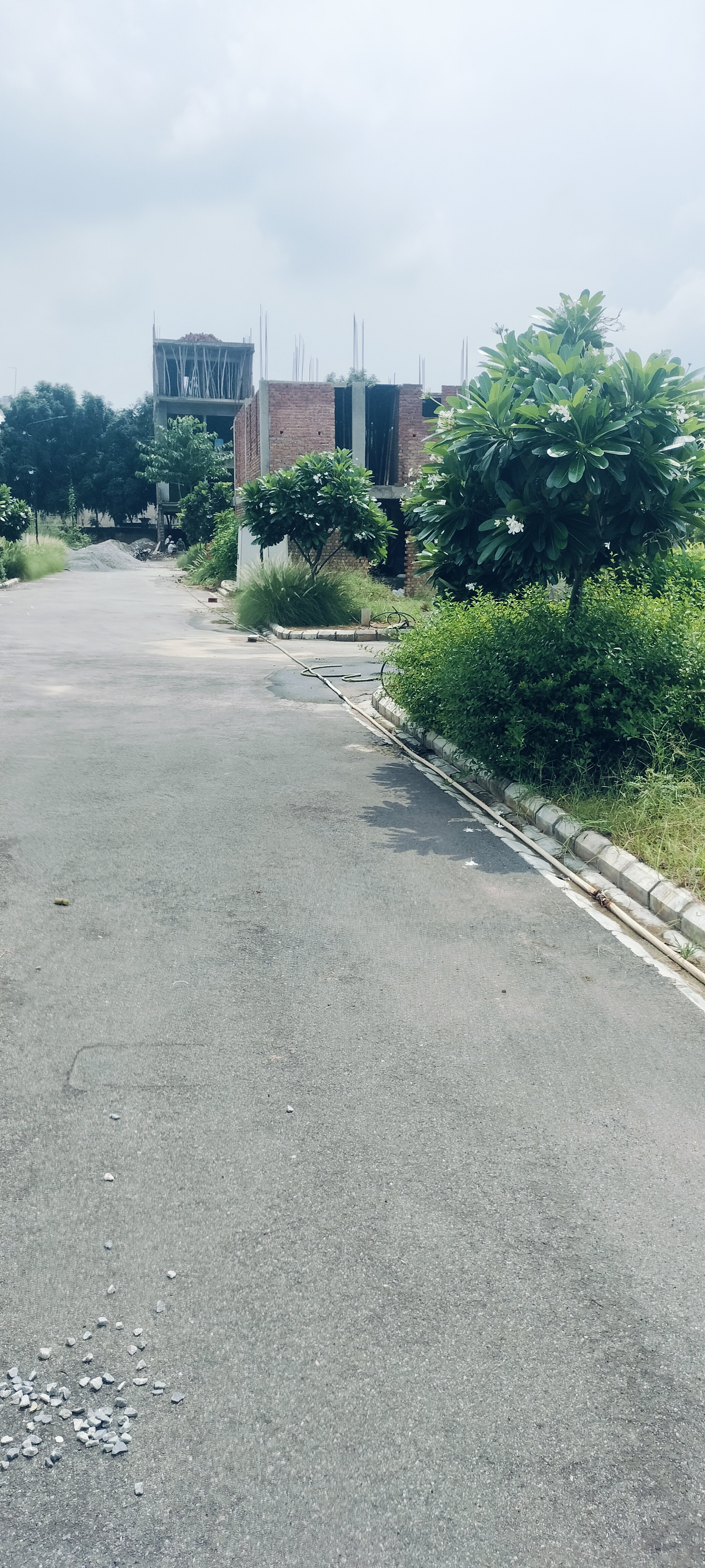 Plot For Sale in Rambha Corona Greens