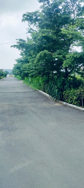 Plot Area in  Plot at Rambha Corona Greens, Sohna Sector 5 – for Sale