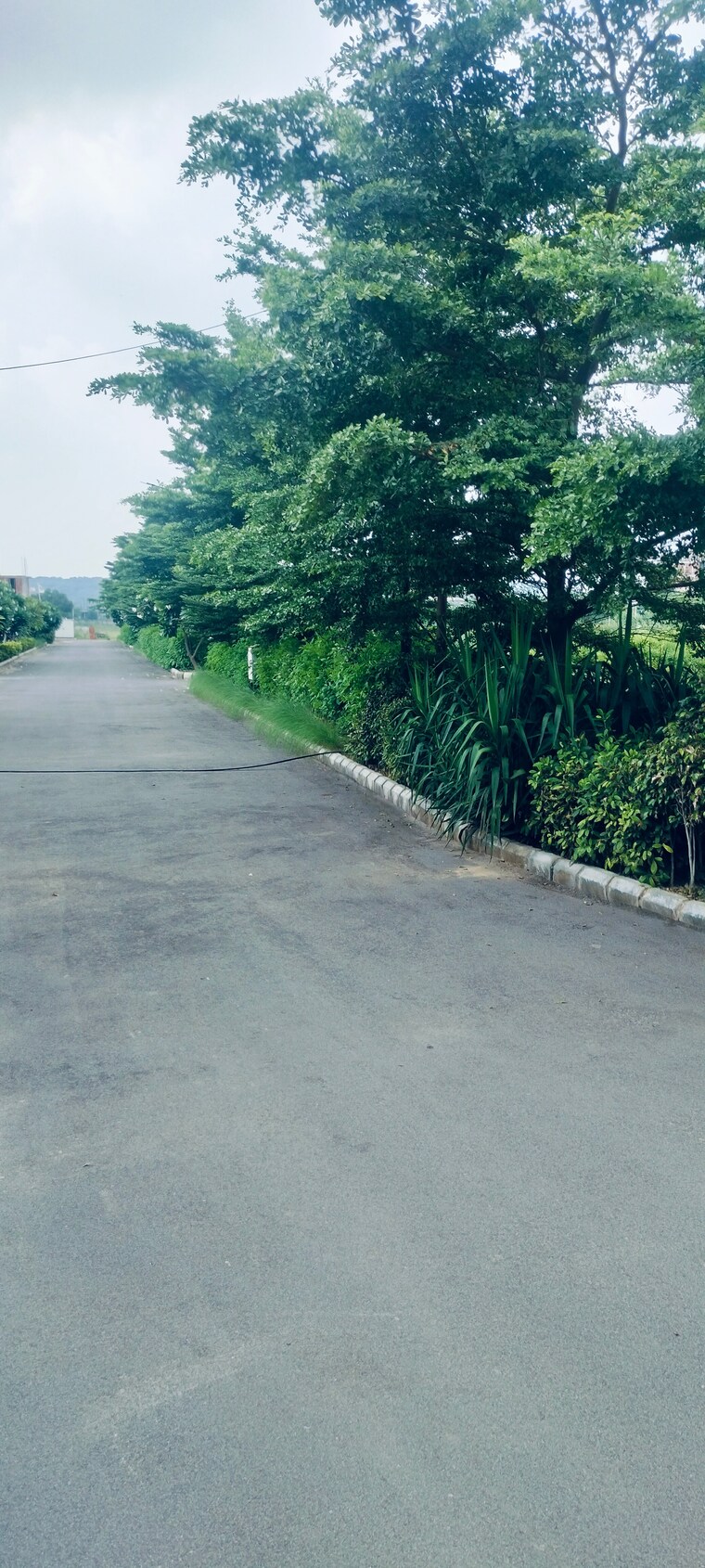 undefined, rambha-corona-greens  122 Sq.Yd. Plot In Sohna Sector 5 Gurgaon 9131029