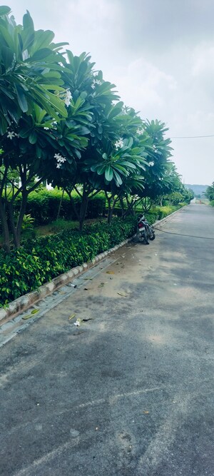 Plot Area in  Plot at Rambha Corona Greens, Sohna Sector 5 – for Sale