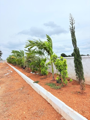  Plot – Garden View at ESR South Central, Subhanpur - for Sale