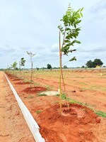 220 Sq.Yd. Plot in ESR South Central