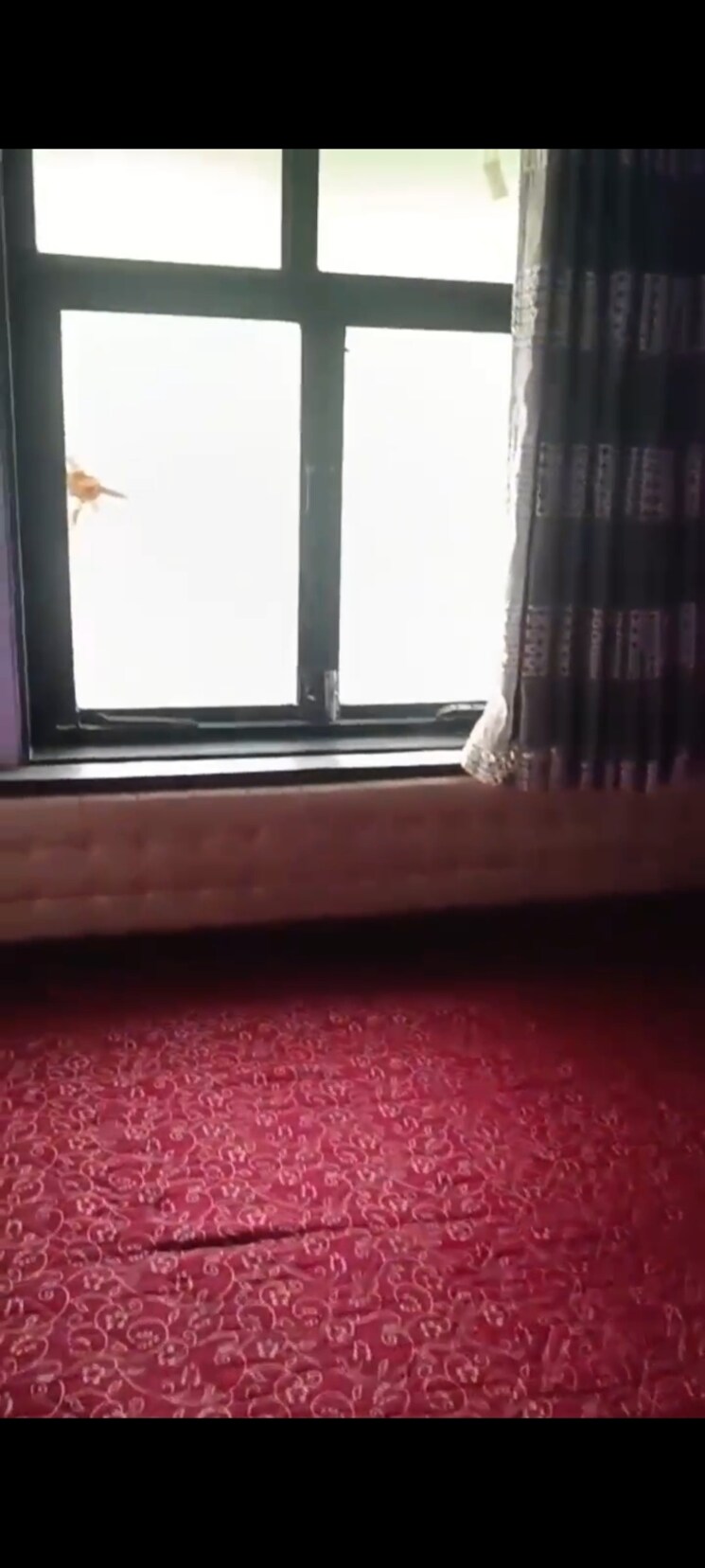 Room, surana-regency 1 Bedroom 300 Sq.Ft. Apartment In Worli Mumbai 9131189