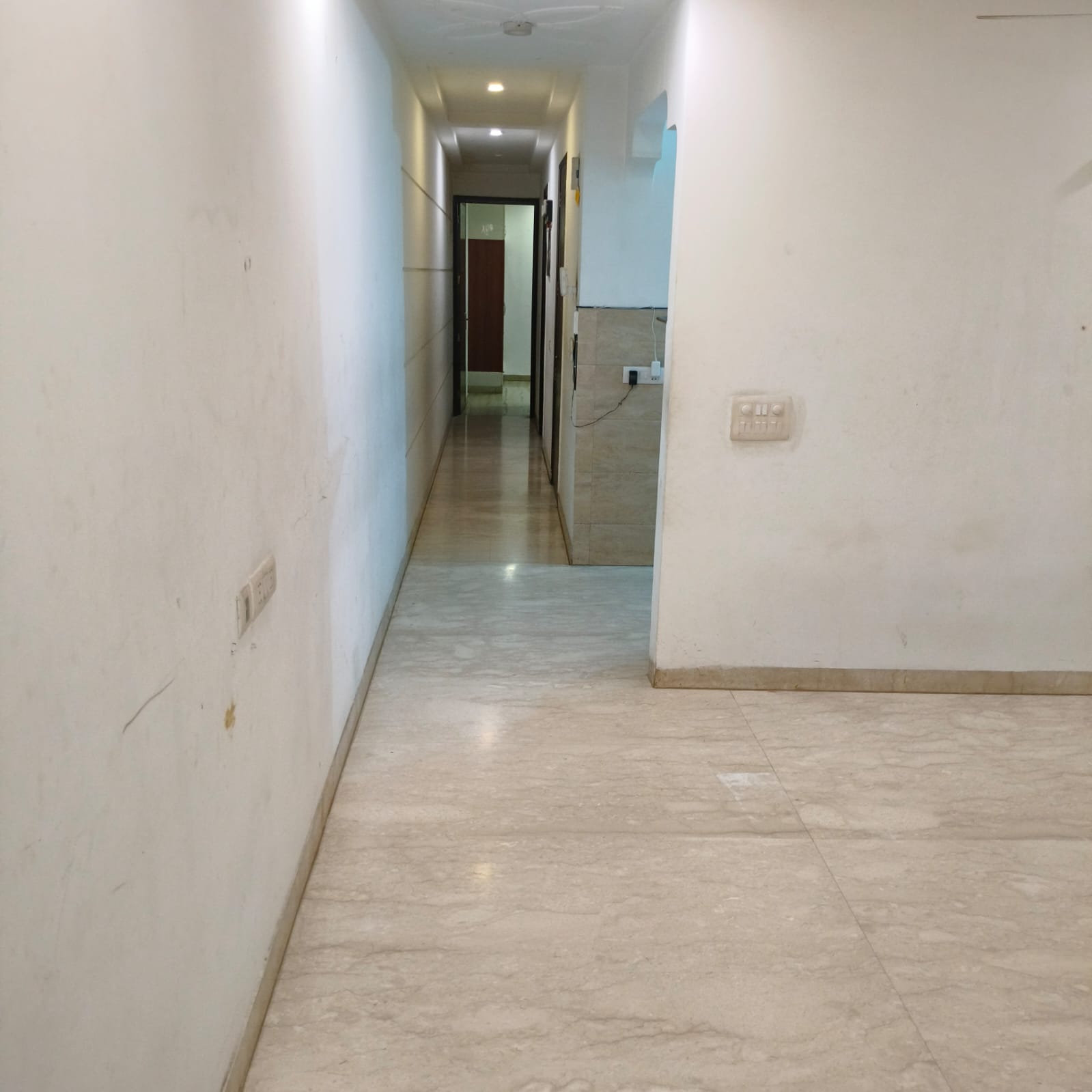 3 BHK Builder Floor For Rent in Malviya Nagar 