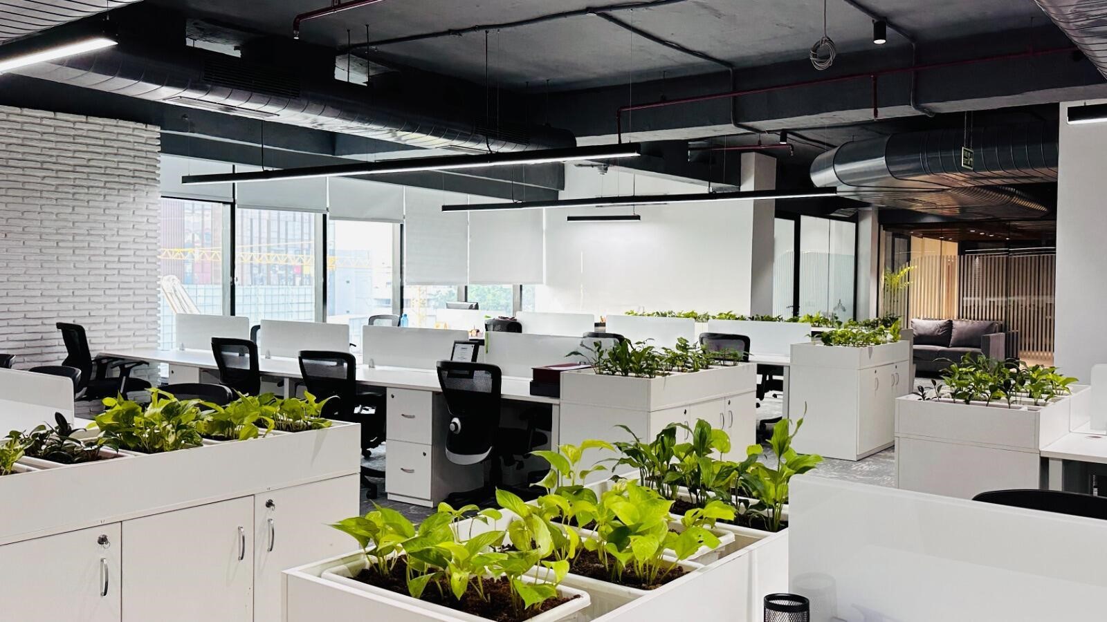 Office Space For Rent in Which Floor Realty