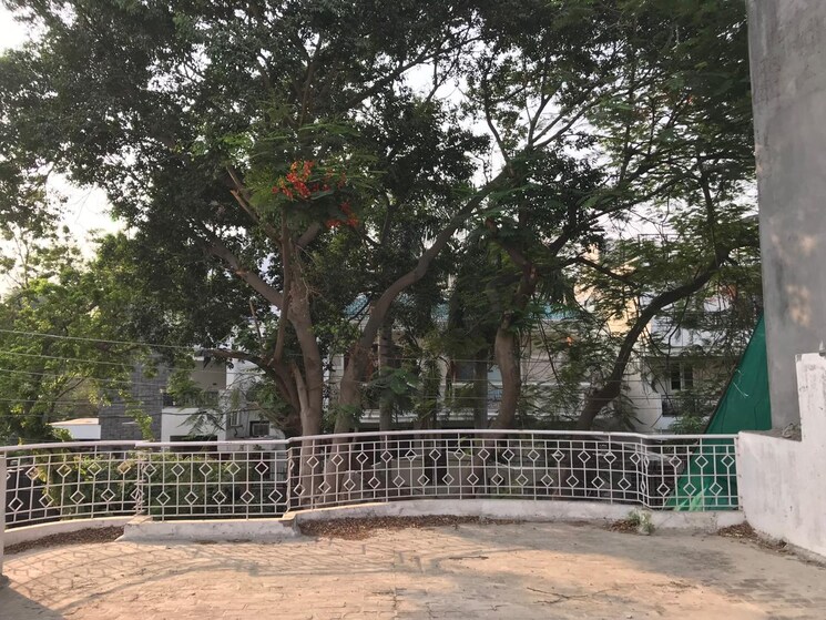 Exterior View, sector 30 3 Bedroom 360 Sq.Mt. Independent House In Sector 30 Noida 9131567