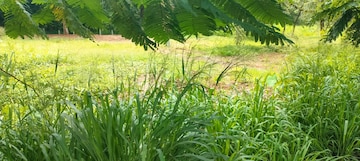  Land – Garden View at Marathakkara - for Sale