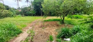 Plot Area in  Land at Marathakkara – for Sale