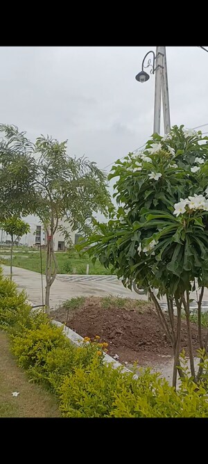  Land For Sale in Pithampur