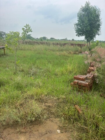  Plot For Sale in Barsana
