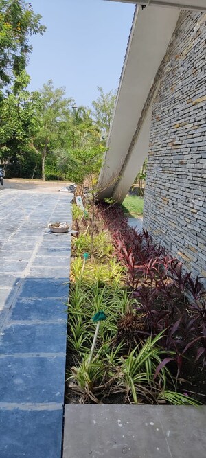 2 BHK Villa – Exterior View View at Sejbahar - for Sale