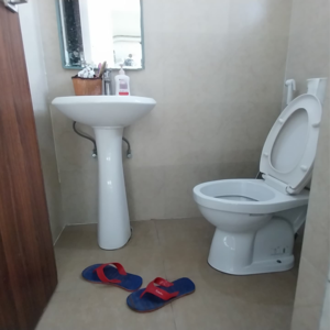 Bathroom in 1 BHK Apartment at Barnala Green Lotus Avenue, Nagla Road – for Sale
