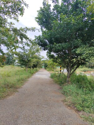  Plot For Sale in Karnataka Housing Board Plot, Hosur Road