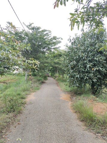 Plot Area in  Plot at Karnataka Housing Board Plot, Hosur Road – for Sale