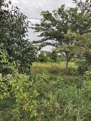 Plot Area in  Plot at Karnataka Housing Board Plot, Hosur Road – for Sale