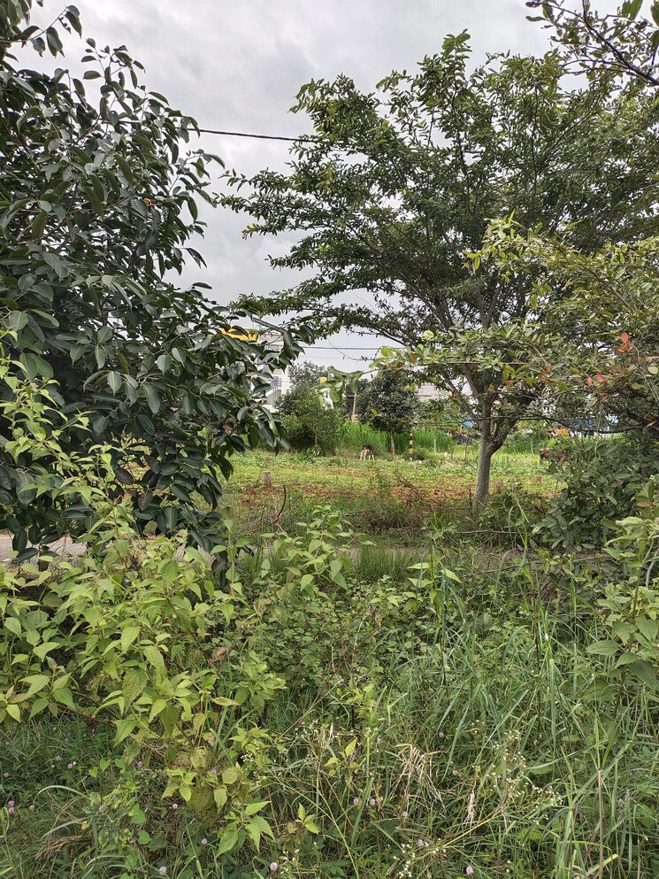 undefined, karnataka-housing-board-plot  600 Sq.Ft. Plot In Hosur Road Bangalore 9132249