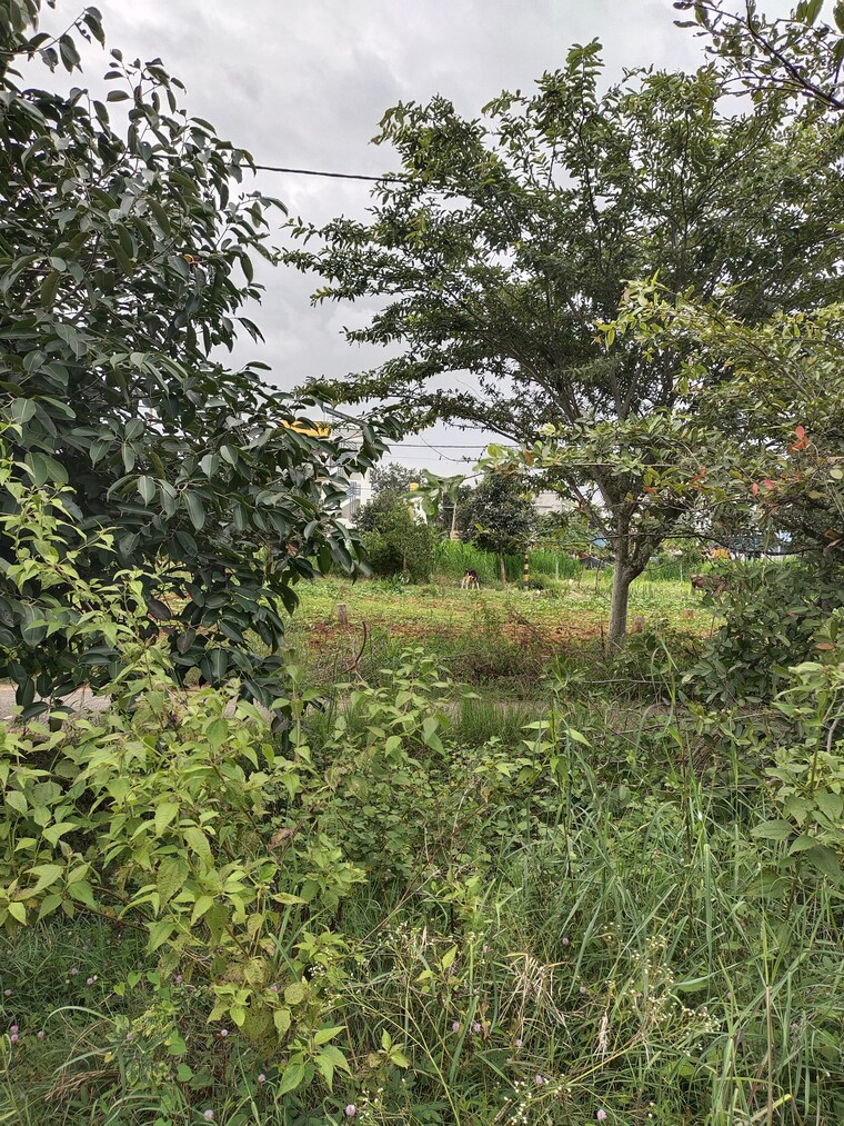 undefined, karnataka-housing-board-plot  600 Sq.Ft. Plot In Hosur Road Bangalore 9132249