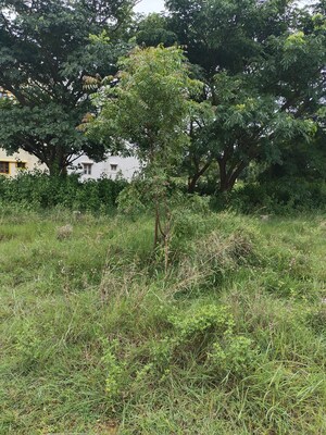 Plot Area in  Plot at Karnataka Housing Board Plot, Hosur Road – for Sale