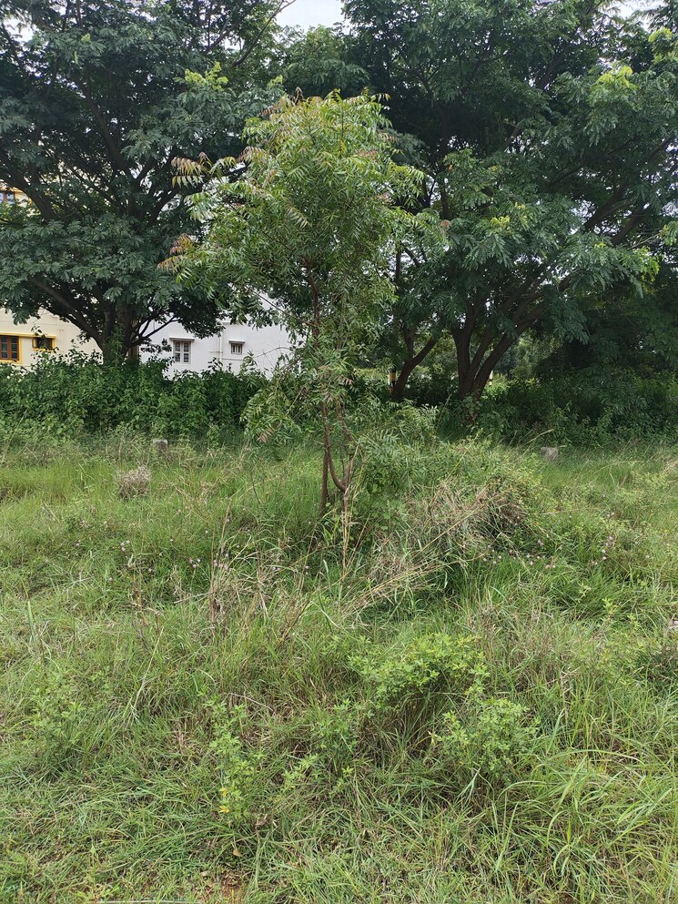 undefined, karnataka-housing-board-plot  600 Sq.Ft. Plot In Hosur Road Bangalore 9132249