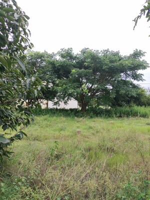 Plot Area in  Plot at Karnataka Housing Board Plot, Hosur Road – for Sale