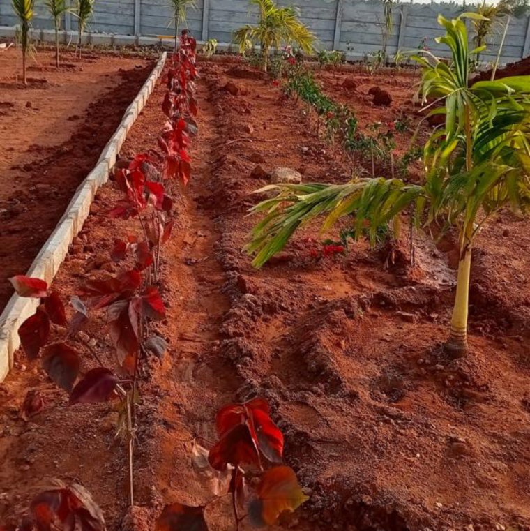Garden, mangalagiri  2500 Sq.Yd. Plot In Mangalagiri Vijayawada 9132330