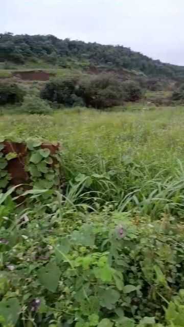 Plot Area in  Plot at Shrivardhan – for Sale