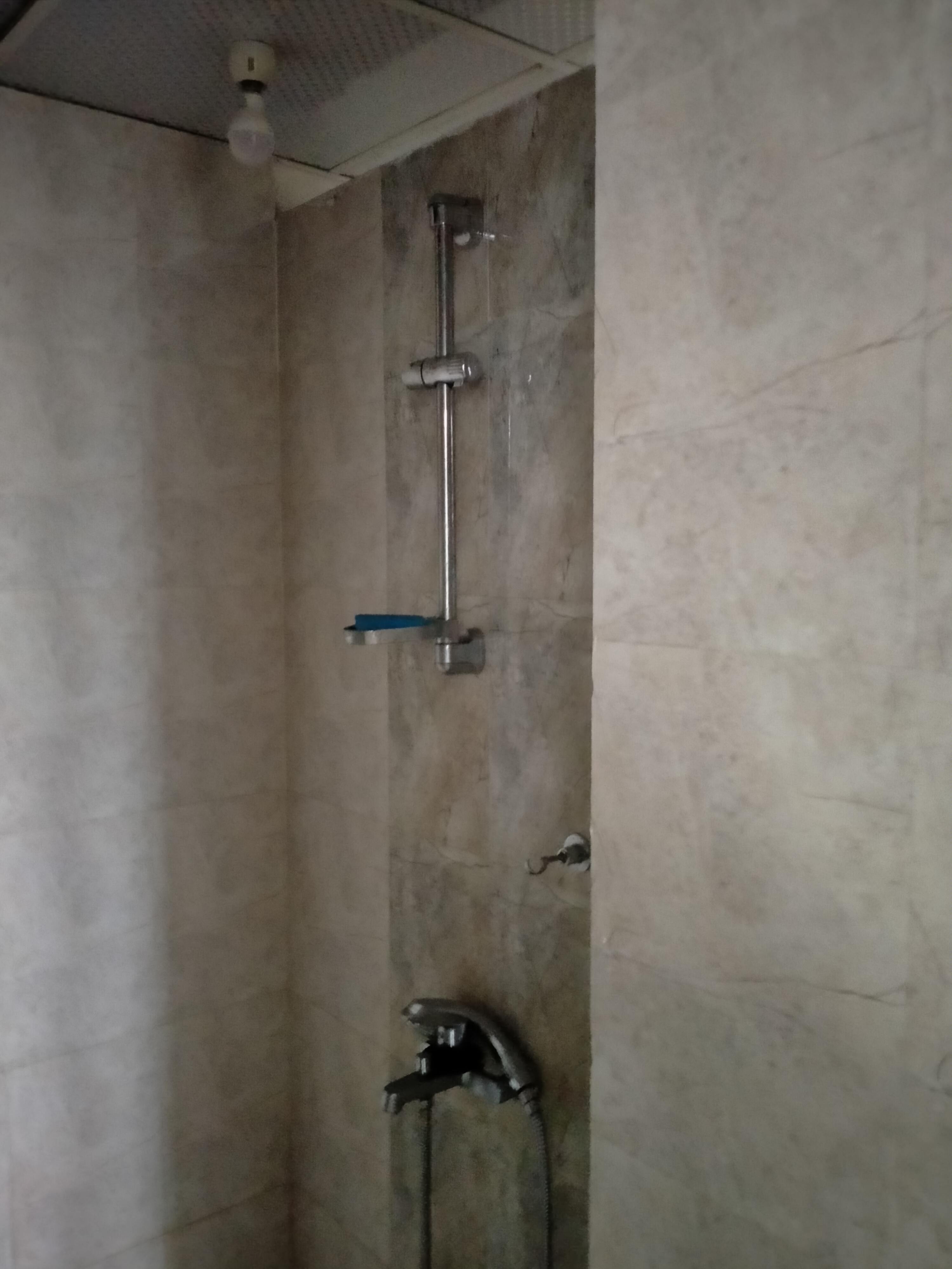 2 BHK Apartment For Rent in Tulip Lemon